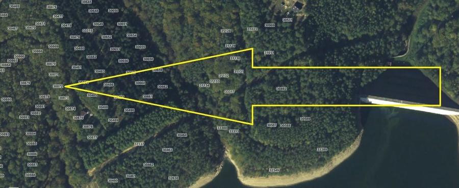 Teren Construcții intravilan de 1000 mp, în Văliug