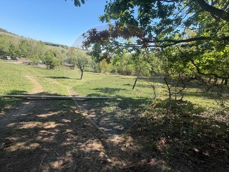 Teren agricol extravilan de 6322 mp, în Central