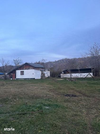 Campina - teren intravilan 5262mp - 150000 Euro - 3