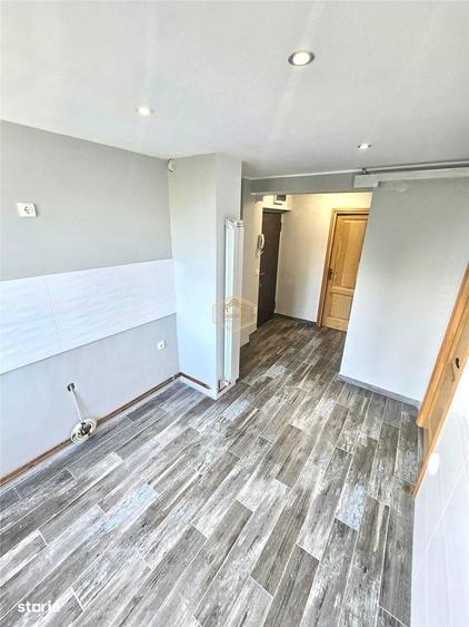 Apartament cu 2 camere decomandat în Botizului