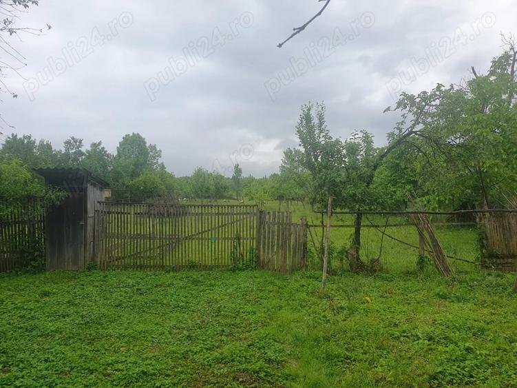 Casă cu 3 camere cu Teren 3000 Mp în Vărzari