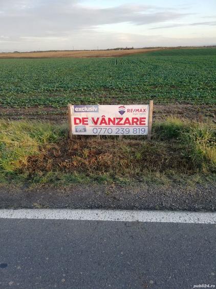 Teren de 15000 mp, în Topolovățu Mare