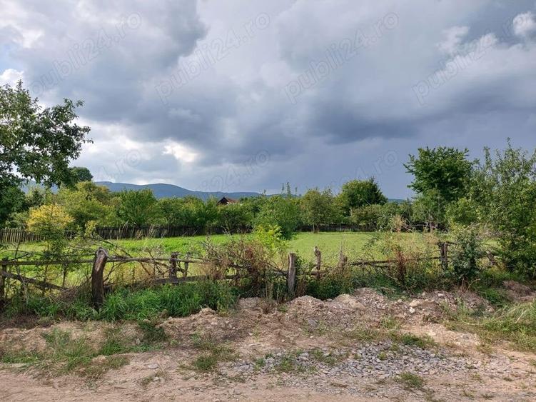 Teren de 2900 mp, în Estelnic