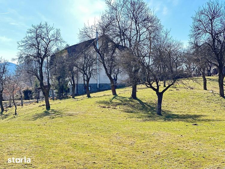 TEREN SOHODOL - UN LOC UNDE NATURA I?I DEVINE PARTENER DE INVESTI?IE - 12