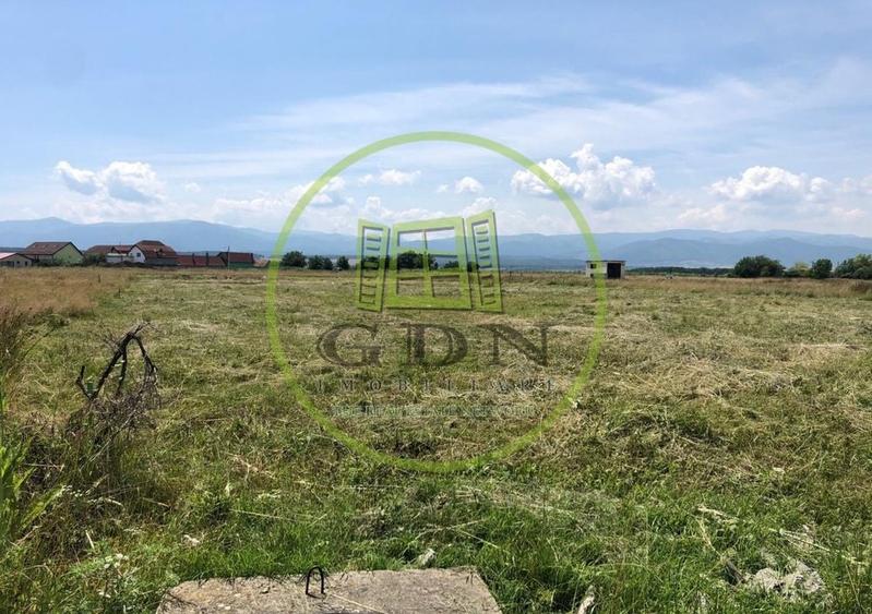 Teren Construcții intravilan de 1235 mp, în Turnișor