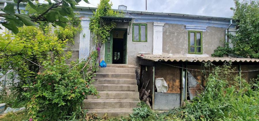 vand casa batraneasca sat Horezu-Poenari, comuna Valea Stanciului, vedere la Jiu - 14