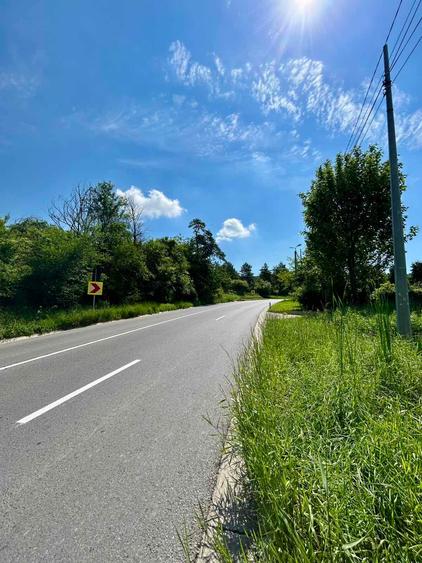 Teren Construcții intravilan de 2779 mp, în Bucium