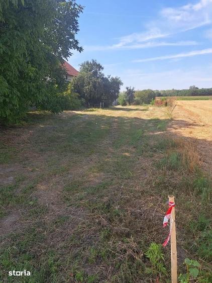 Teren de 600 mp, în Mărtinești