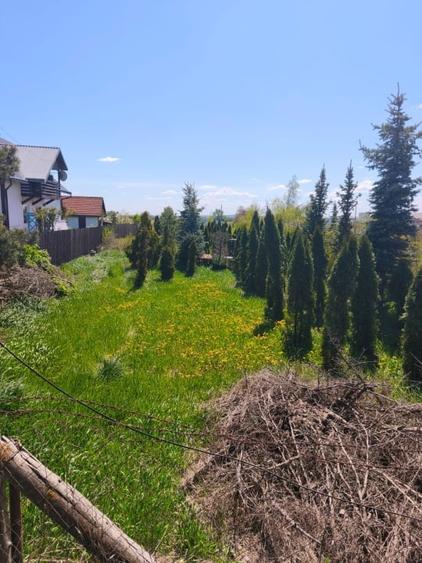 Teren Construcții intravilan de 4600 mp, în Est
