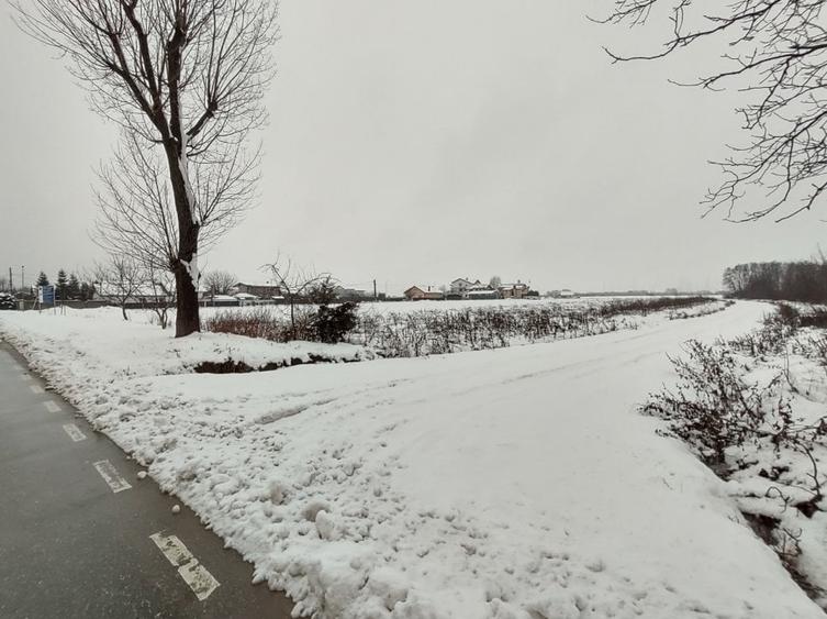 Teren Construcții intravilan de 100000 mp, în Ciolpani