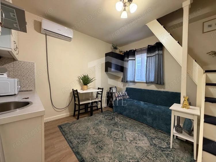 PARCUL CAROL - Viilor | Chirie Casa 2 Camere - 6