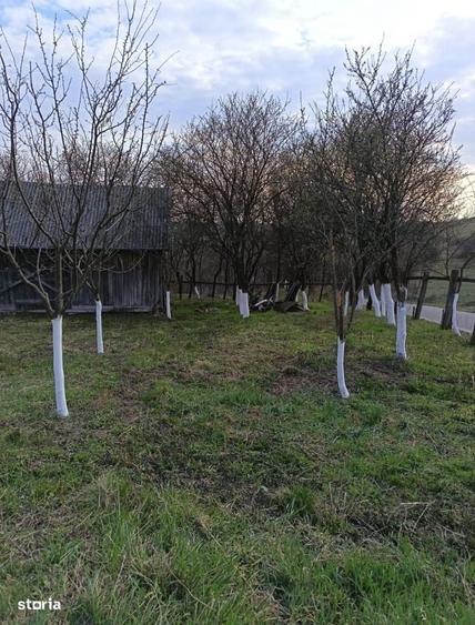 Casă cu 2 camere în Cehal