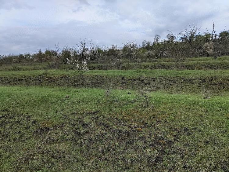Teren de 10000 mp, în Sântuhalm