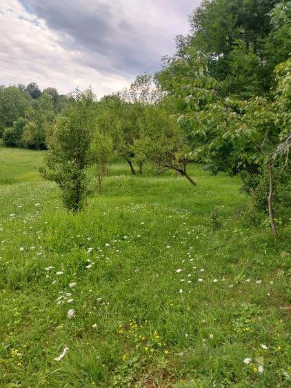 Teren de 3300 mp, în Talea