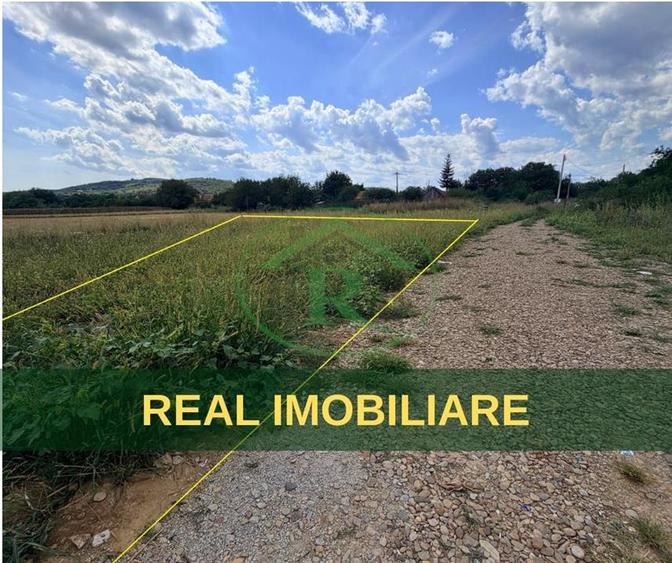 Teren intravilan de 6600 mp, în Nișcov