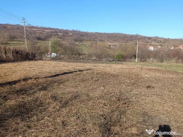 Teren de 800 mp, în Armeni