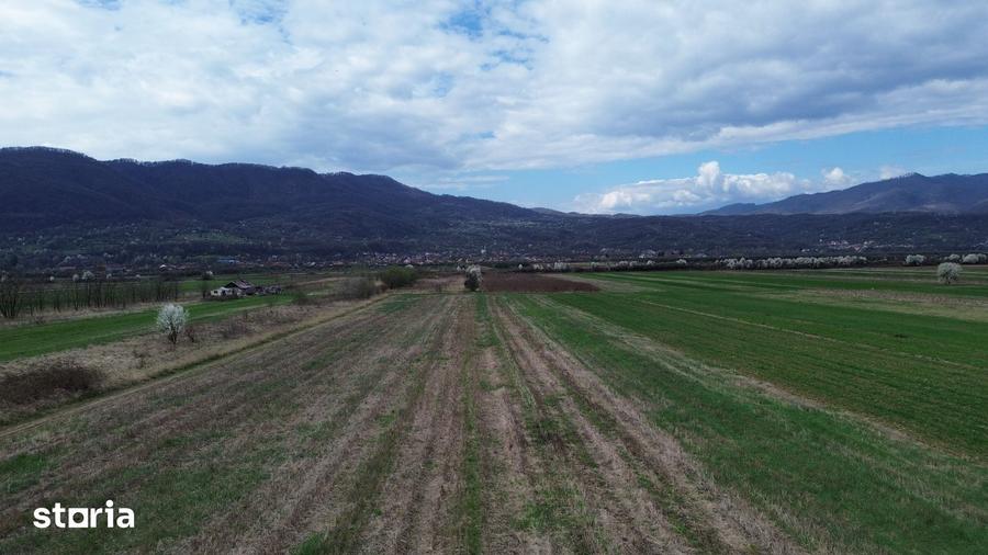 Teren de 6581 mp, în Central