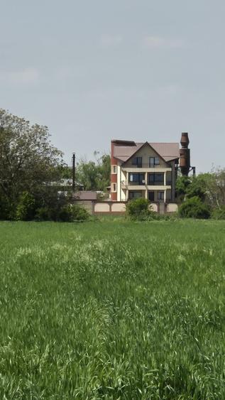 Teren agricol extravilan de 9983 mp, în Berceni