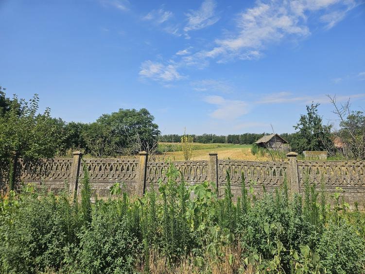Casă cu 4 camere în Frumoasa