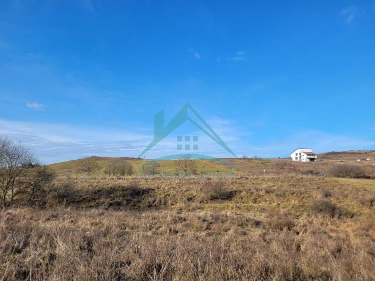 Teren Construcții intravilan de 2900 mp, în Chinteni