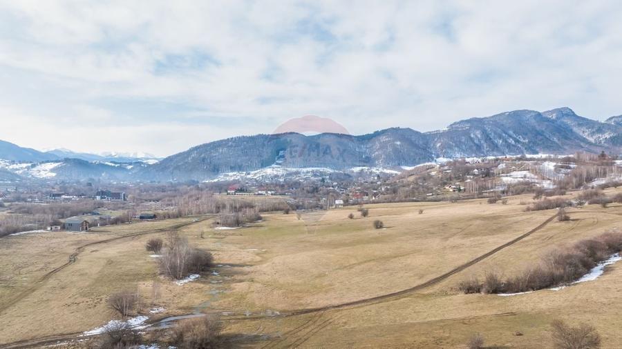 Teren Construcții intravilan de 4500 mp, în Tohanu Nou