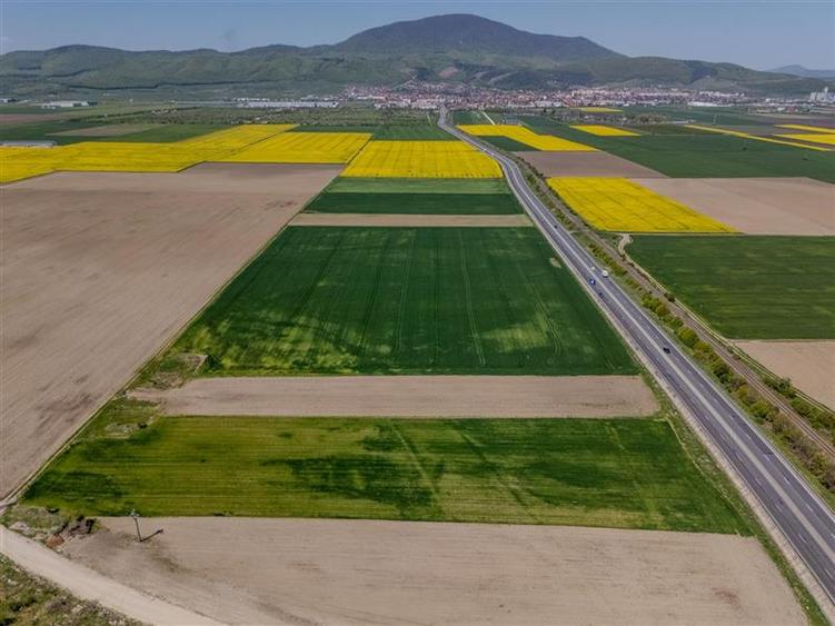 Teren agricol intravilan de 47.576999664307 mp, în Central