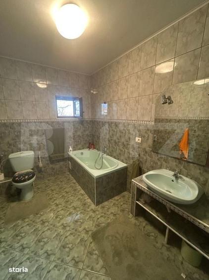 Casă cu 4 camere cu Teren 3982 Mp în Remetea Mare