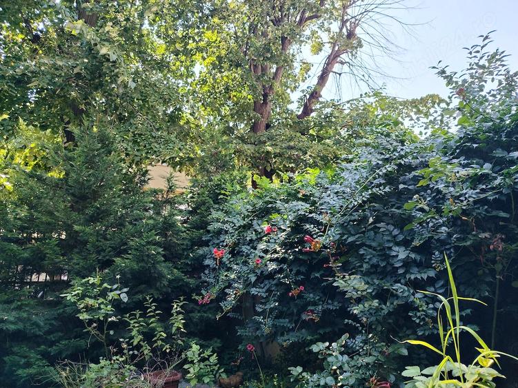 Inchiriez camera spa?ioasa (25 mp) in interiorul unei case la curte cu gradina frumoasa - 2