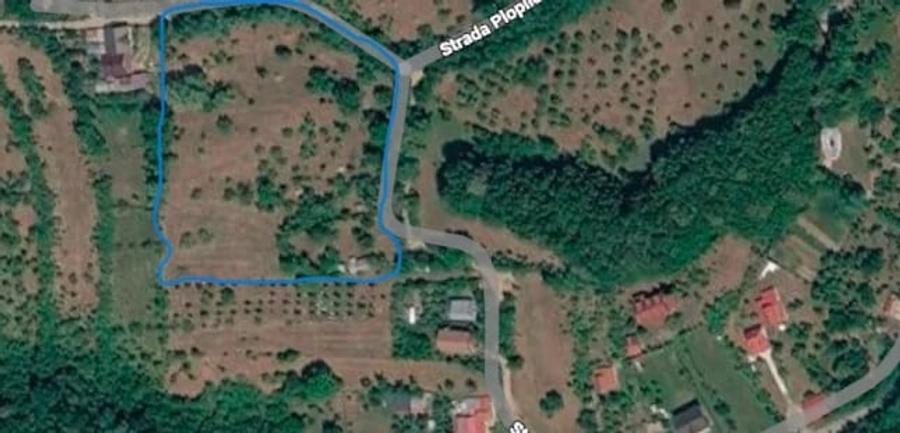 Teren de 11000 mp, în Drajna