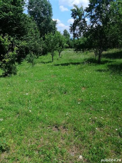 Teren de 4500 mp, în Albești