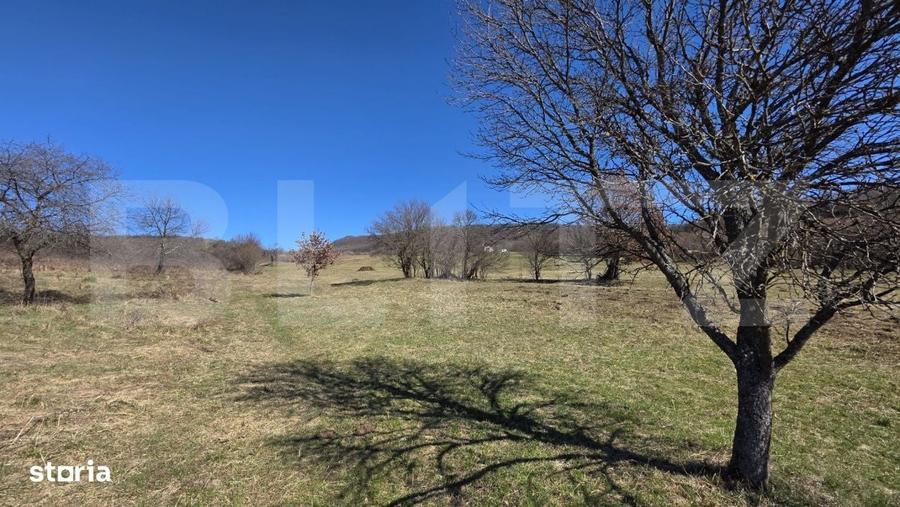 Teren de vanzare de 8,567MP in zona: Tarpiului - 7