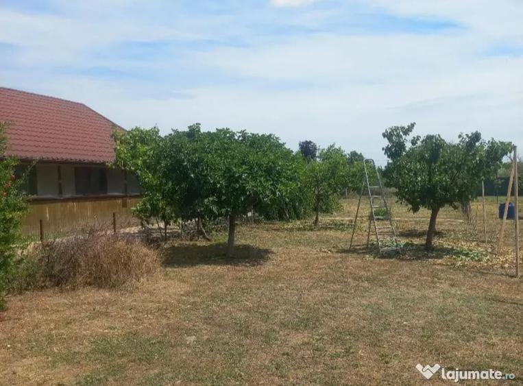 Casă cu 3 camere cu Teren 2000 Mp în Mihail Kogălniceanu