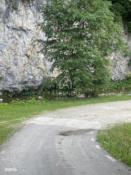Teren Investitie Turistica Dambovicioara Baranga | 4.500 mp - 4