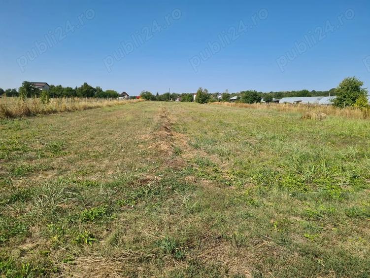 Teren de 5000 mp, în Central