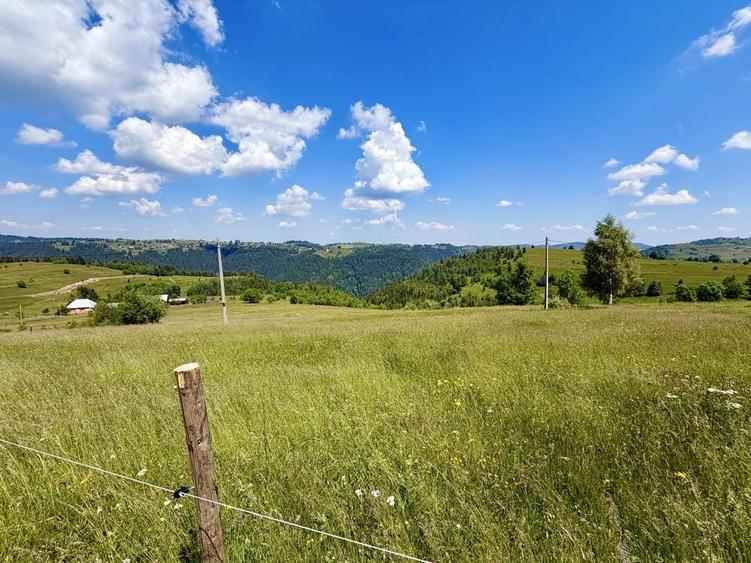 Teren de 10000 mp, în Măguri