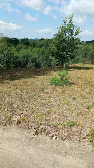 Teren de 100 mp, în Baia Sprie