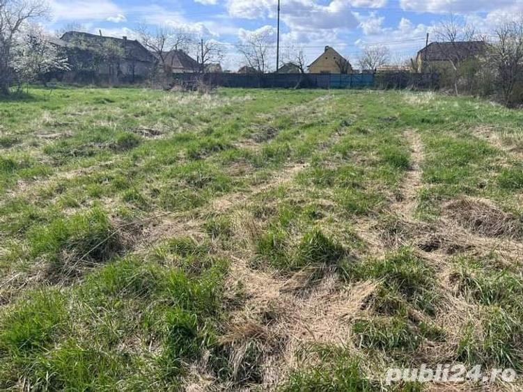 Teren de 2098 mp, în Beregsău Mare