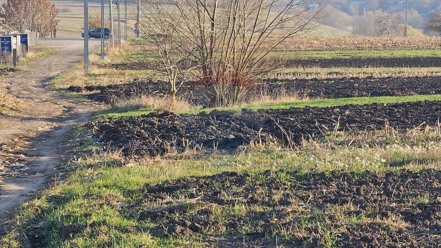 Teren agricol extravilan de 6100 mp, în Stroiești
