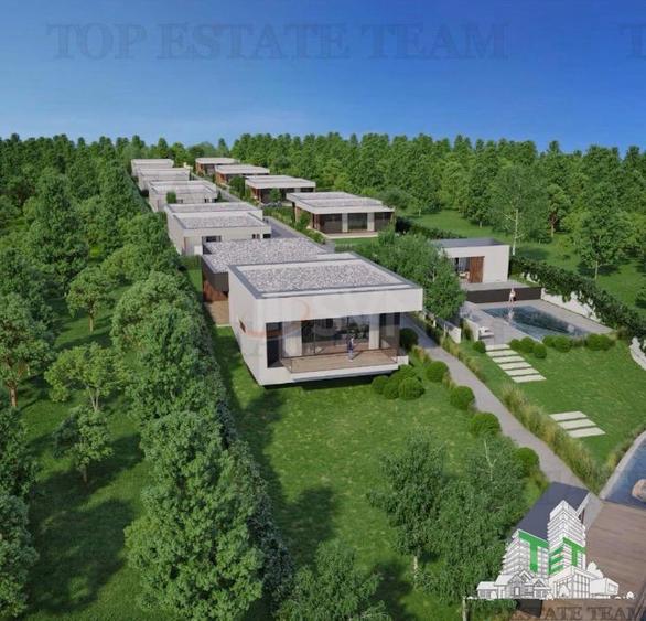 Teren Construcții intravilan de 41079 mp, în Tânganu