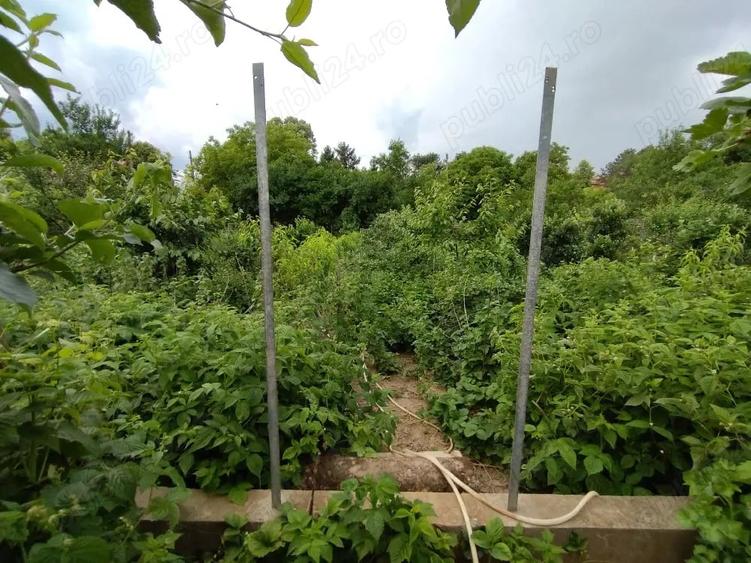 Casă cu 3 camere cu Teren 600 Mp în Central