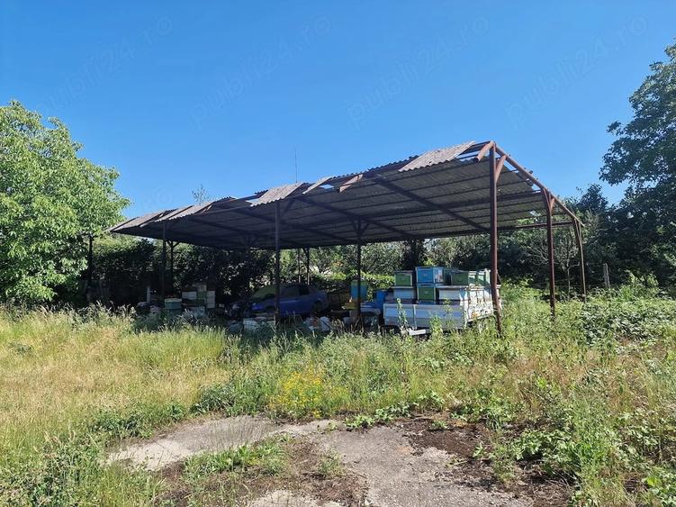 Teren de 7075 mp, în Bârsa