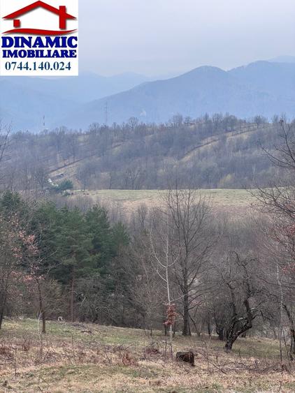 Teren agricol intravilan de 6000 mp, în Bistrița