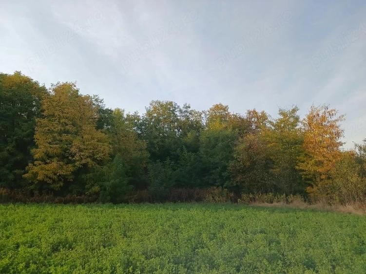 Teren de 1600 mp, în Mănărade