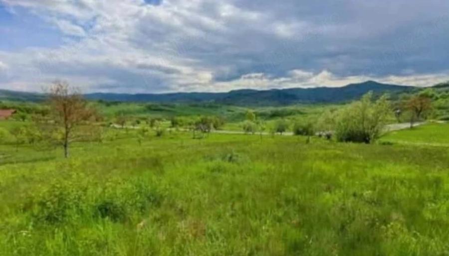 Teren de 5325 mp, în Rona de Jos