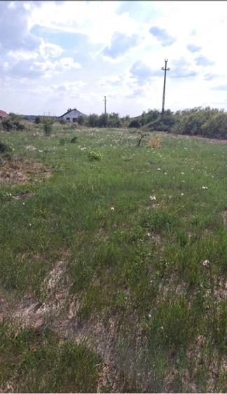 Teren de 3000 mp, în Mândruloc