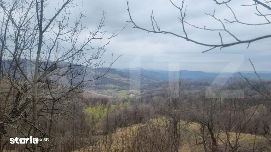 Teren de 3781 mp, în Izvoarele