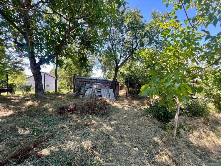 Casă cu 2 camere cu Teren 1940 Mp în Ciurea
