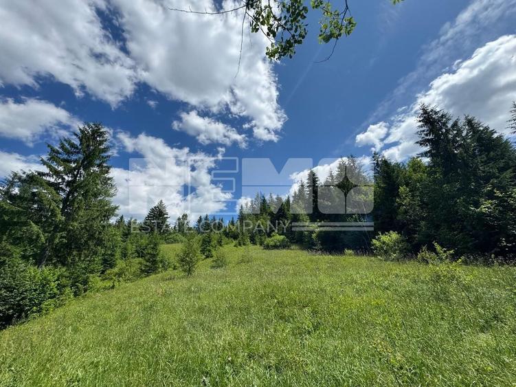 Teren extravilan de 23520 mp, în Periferie