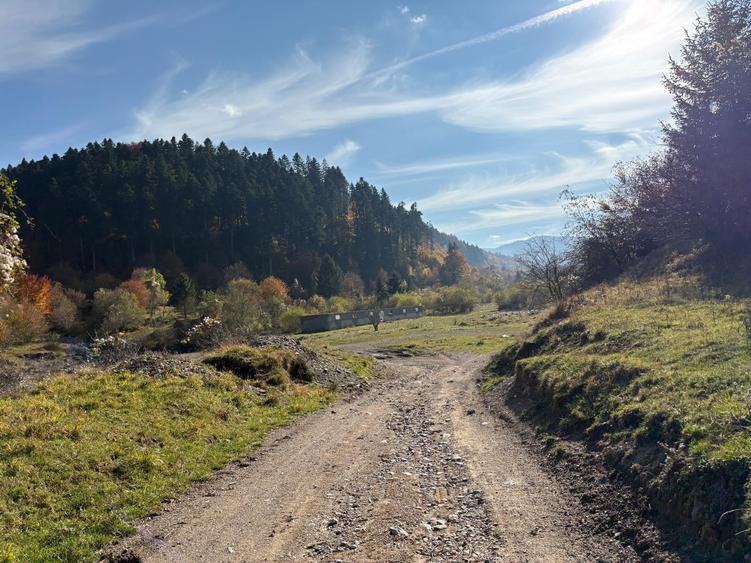 Teren Construcții intravilan de 10000 mp, în Săcele