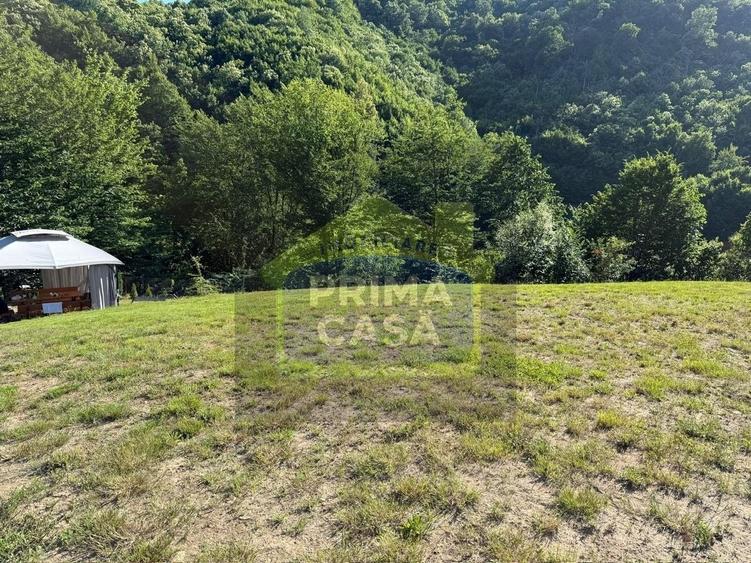Teren Construcții intravilan de 3434 mp, în Valea Roșie